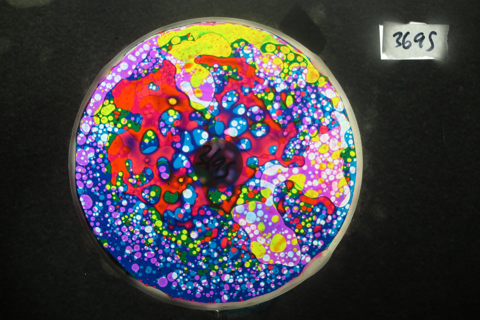 BV3695 bubble vision oil wheel